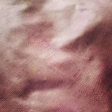 LLEFYDD FDY BRONZING NEWYDD